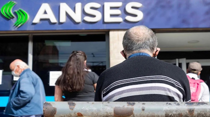 aportes anses